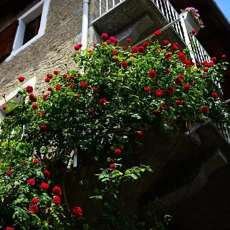 Captain's Quarters - Townhouse On Maggiore Дом отдыха Леза
